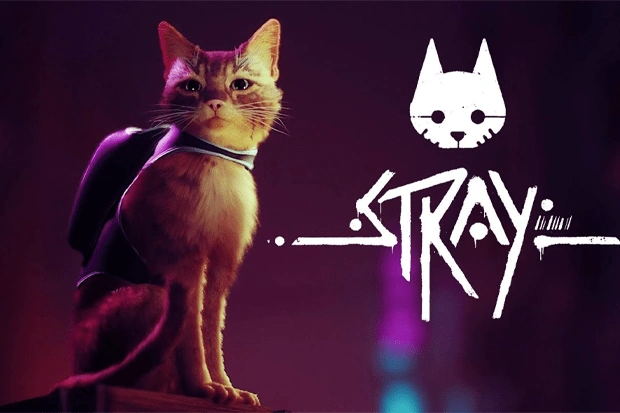 Игра про рыжего котика Stray